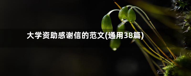 大学资助感谢信的范文(通用38篇)