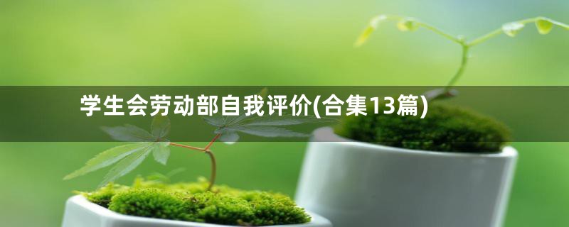 学生会劳动部自我评价(合集13篇)