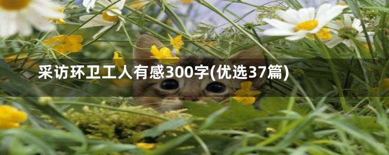 采访环卫工人有感300字(优选37篇)