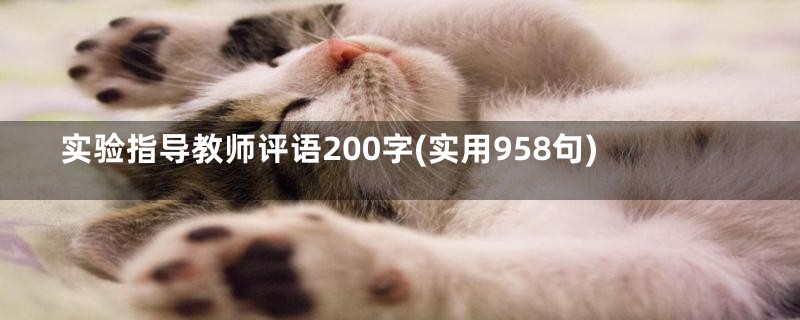 实验指导教师评语200字(实用958句)