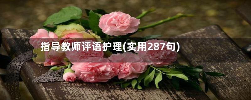 指导教师评语护理(实用287句)