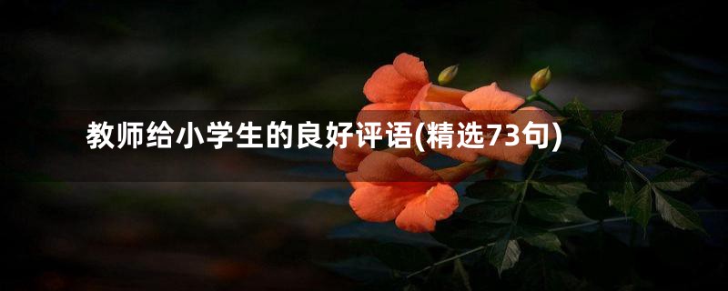 教师给小学生的良好评语(精选73句)