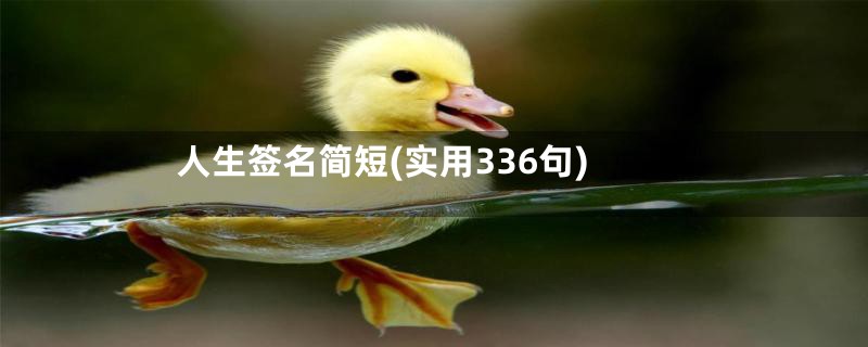 人生签名简短(实用336句)