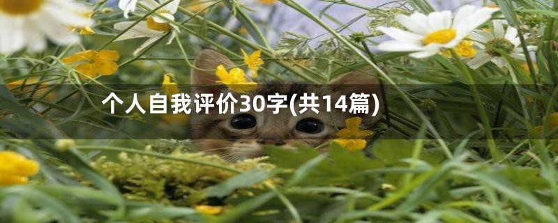 个人自我评价30字(共14篇)