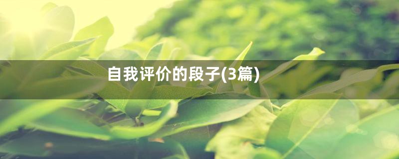 自我评价的段子(3篇)