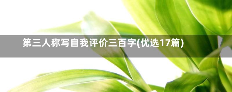 第三人称写自我评价三百字(优选17篇)