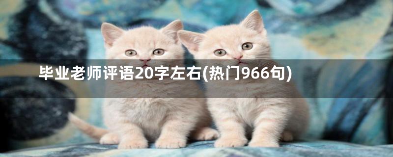 毕业老师评语20字左右(热门966句)