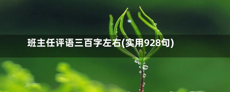 班主任评语三百字左右(实用928句)