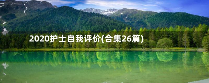 2020护士自我评价(合集26篇)