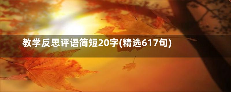 教学反思评语简短20字(精选617句)