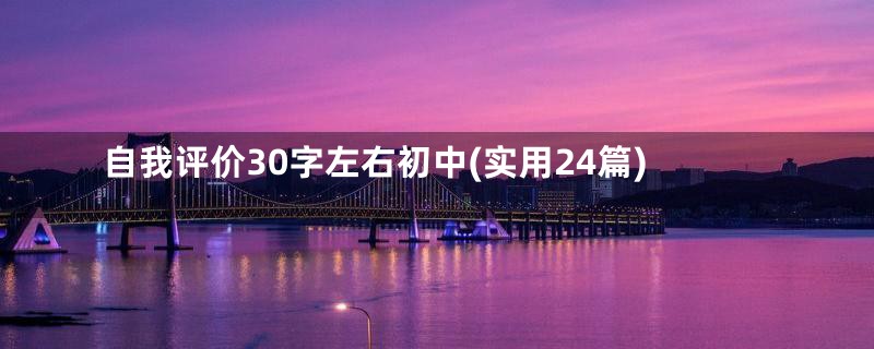 自我评价30字左右初中(实用24篇)