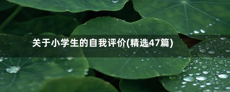 关于小学生的自我评价(精选47篇)