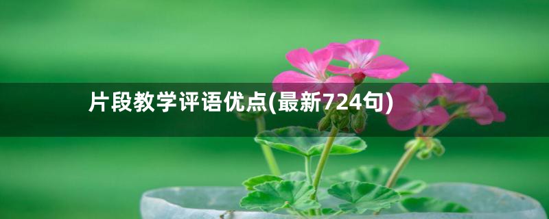 片段教学评语优点(最新724句)