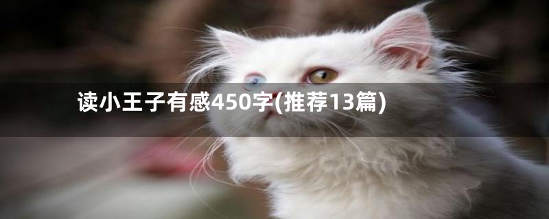 读小王子有感450字(推荐13篇)