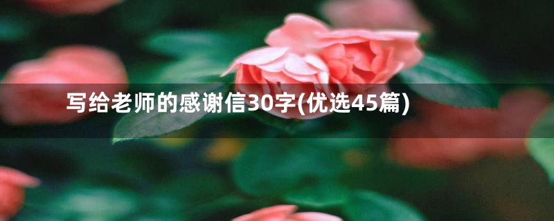 写给老师的感谢信30字(优选45篇)