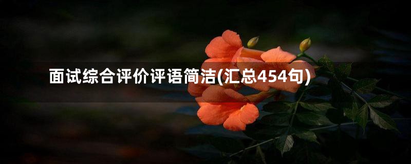 面试综合评价评语简洁(汇总454句)