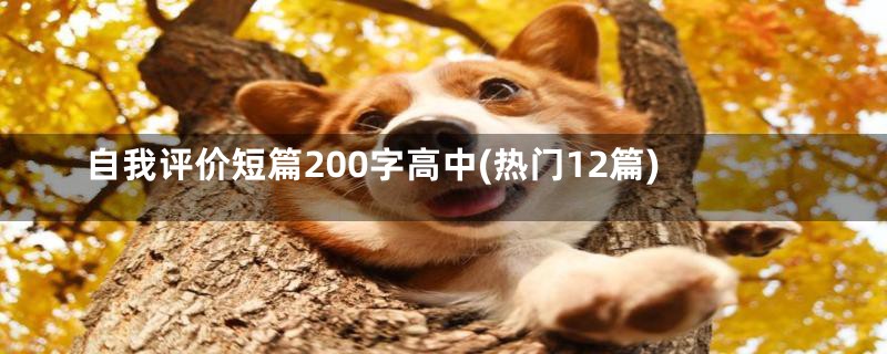 自我评价短篇200字高中(热门12篇)