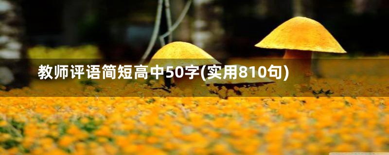 教师评语简短高中50字(实用810句)