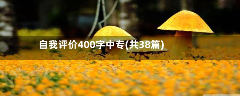 自我评价400字中专(共38篇)