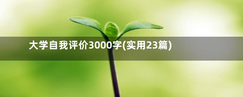 大学自我评价3000字(实用23篇)