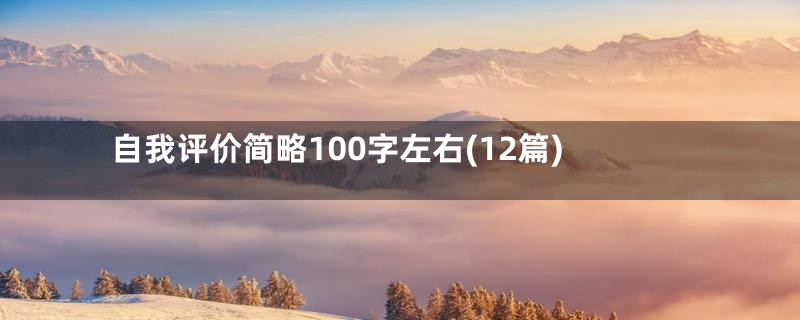 自我评价简略100字左右(12篇)