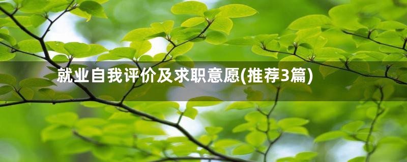 就业自我评价及求职意愿(推荐3篇)