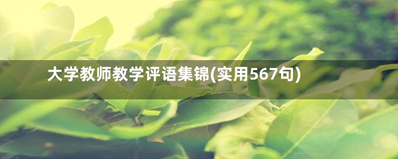 大学教师教学评语集锦(实用567句)