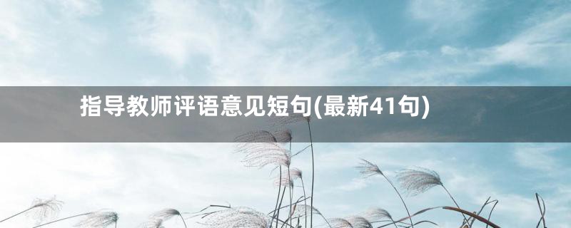 指导教师评语意见短句(最新41句)