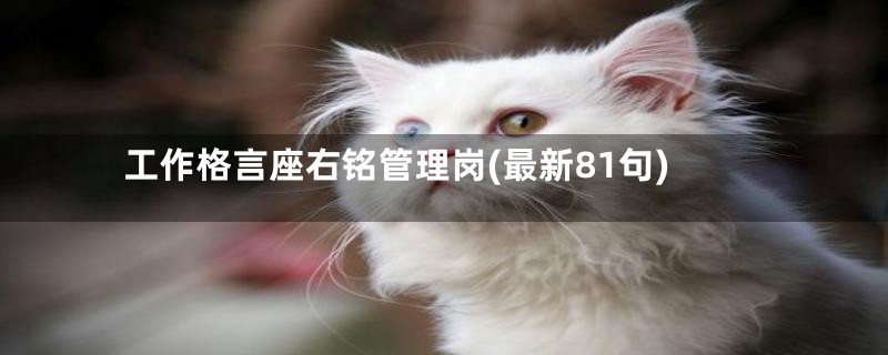 工作格言座右铭管理岗(最新81句)