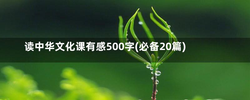 读中华文化课有感500字(必备20篇)