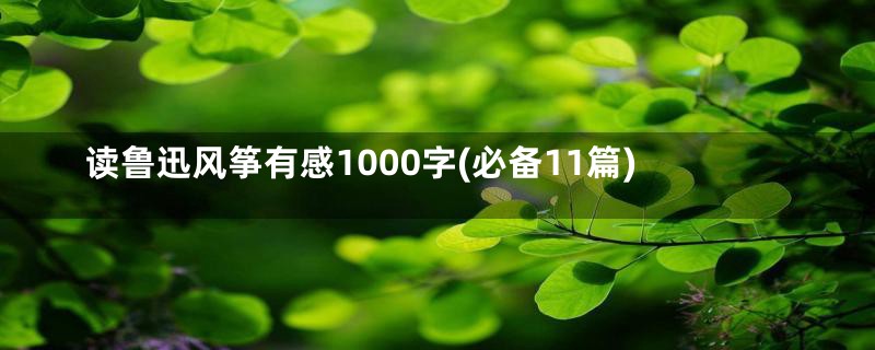 读鲁迅风筝有感1000字(必备11篇)