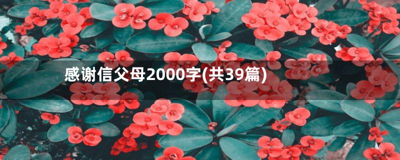 感谢信父母2000字(共39篇)