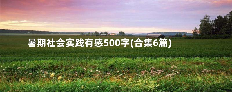 暑期社会实践有感500字(合集6篇)