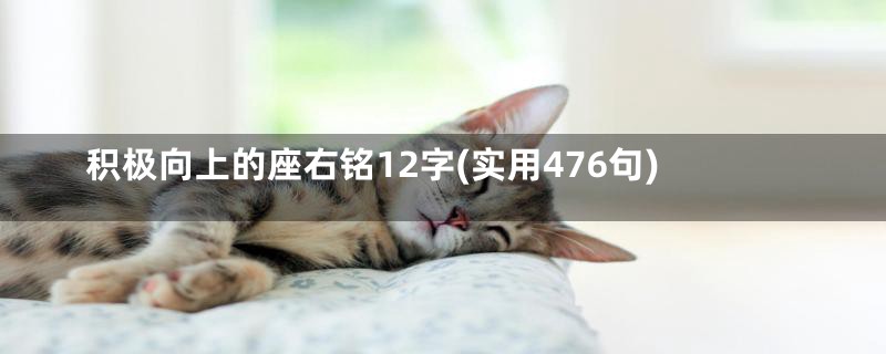 积极向上的座右铭12字(实用476句)