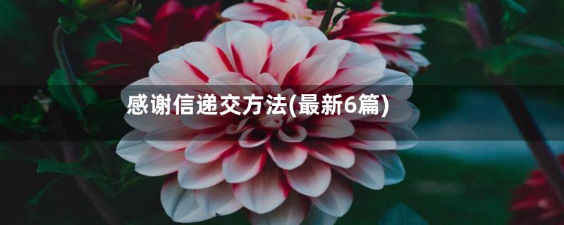 感谢信递交方法(最新6篇)