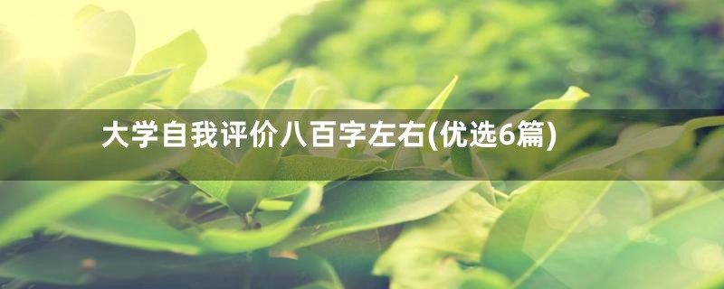 大学自我评价八百字左右(优选6篇)