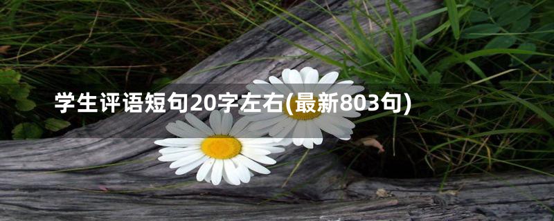 学生评语短句20字左右(最新803句)