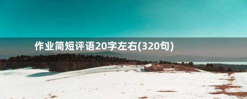 作业简短评语20字左右(320句)