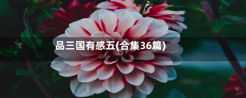 品三国有感五(合集36篇)