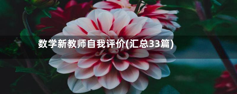 数学新教师自我评价(汇总33篇)