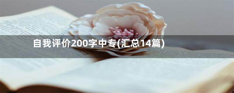 自我评价200字中专(汇总14篇)