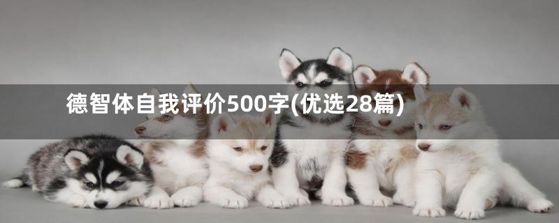 德智体自我评价500字(优选28篇)