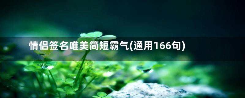 情侣签名唯美简短霸气(通用166句)