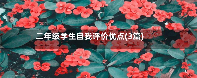 二年级学生自我评价优点(3篇)