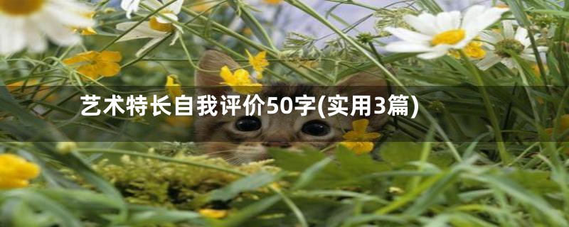 艺术特长自我评价50字(实用3篇)