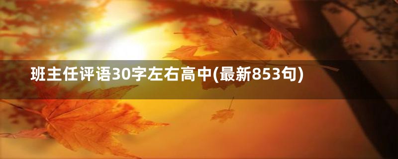 班主任评语30字左右高中(最新853句)