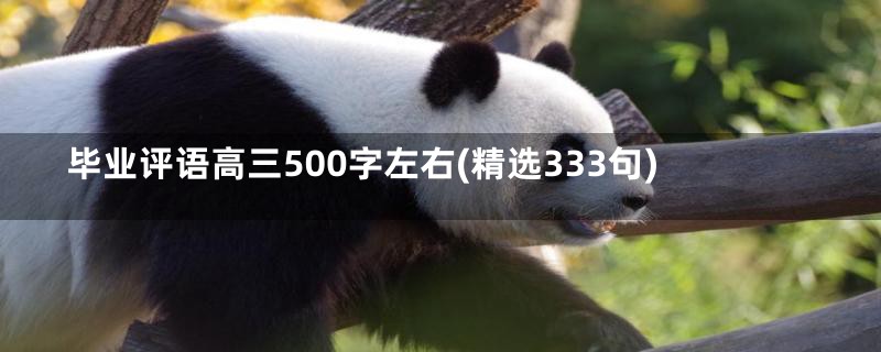 毕业评语高三500字左右(精选333句)