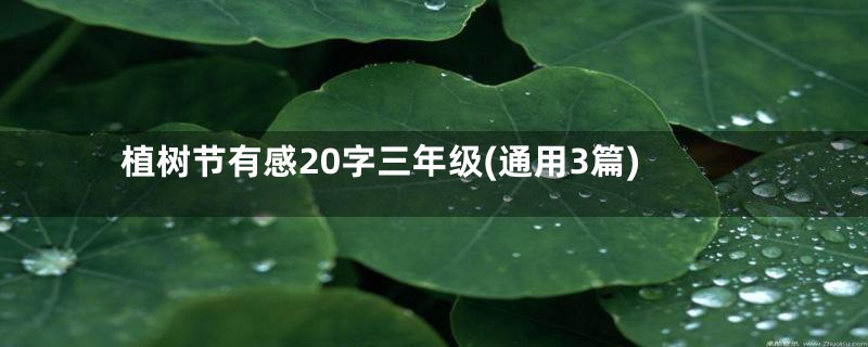 植树节有感20字三年级(通用3篇)