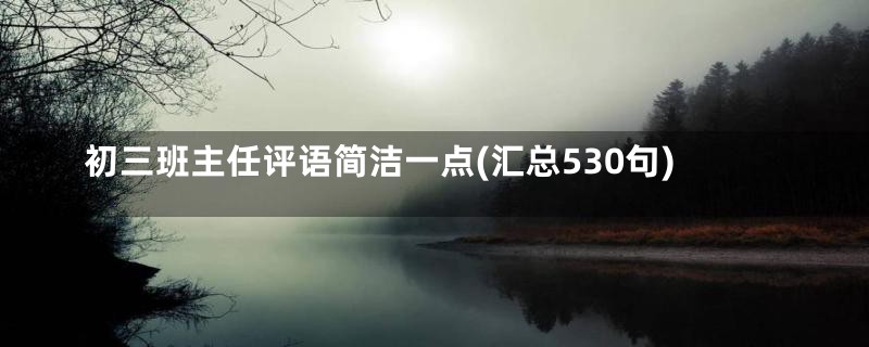 初三班主任评语简洁一点(汇总530句)