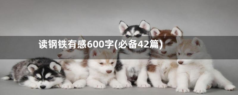 读钢铁有感600字(必备42篇)